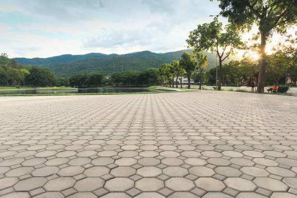 Best Driveway Pavers Near Me  in Rock Valley, IA